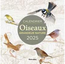 Calendrier oiseaux grandeur nature (édition 2025)