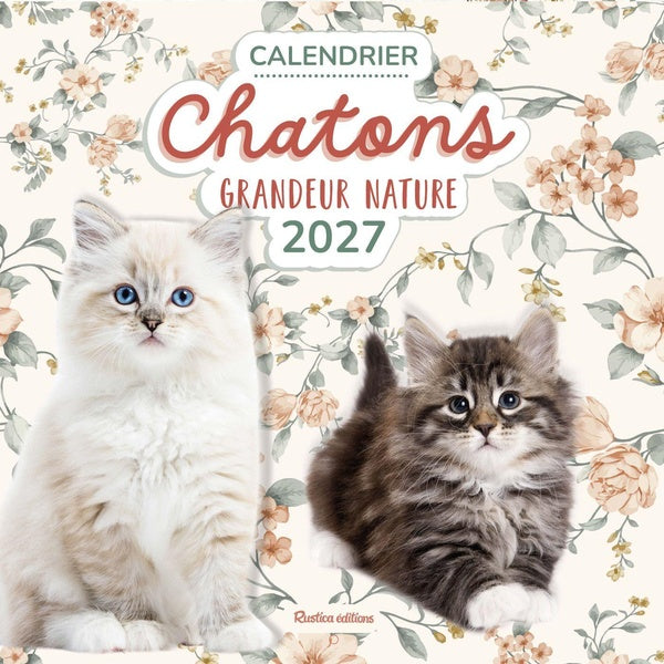 Calendrier chatons grandeur nature (édition 2027)