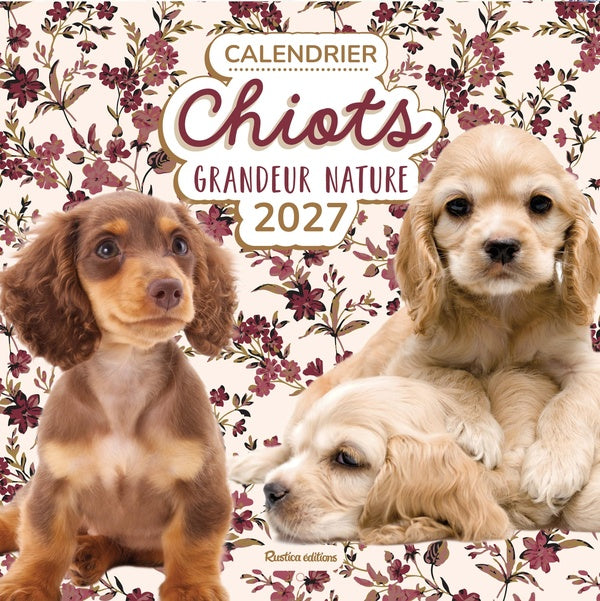 Calendrier chiots grandeur nature (édition 2027)