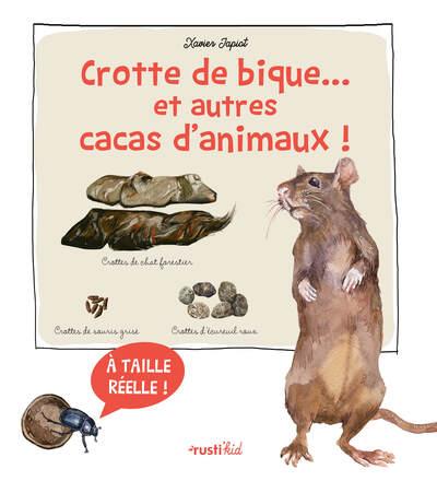 Crotte de bique... et autres cacas d'animaux ! Découvre les crottes d'animaux en taille réelle
