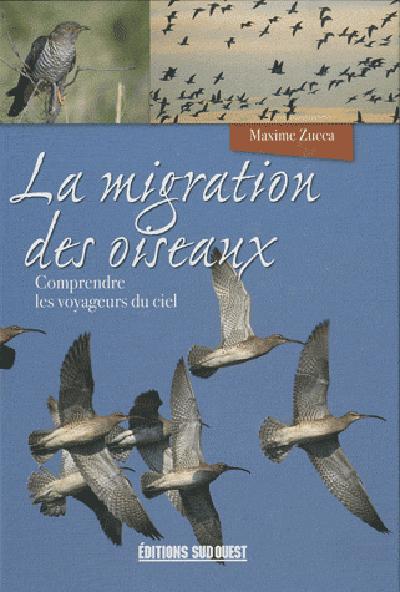 La migration des oiseaux ; comprendre les voyageurs du ciel - flash vidéo