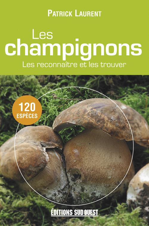Les champignons ; les reconnaître et les trouver - flash vidéo