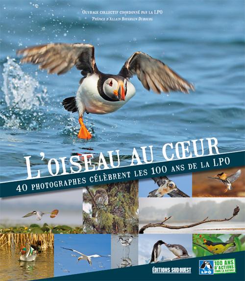 L'oiseau au coeur - flash vidéo