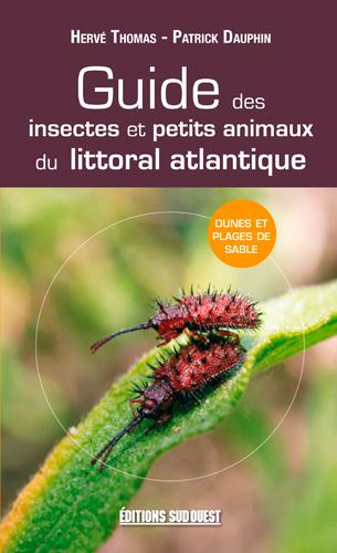 Guide des insectes et petits animaux du littoral atlantique - flash vidéo