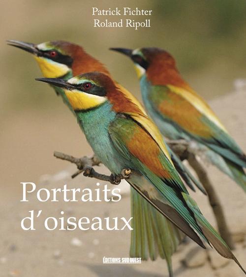 Portraits d'oiseaux - flash vidéo