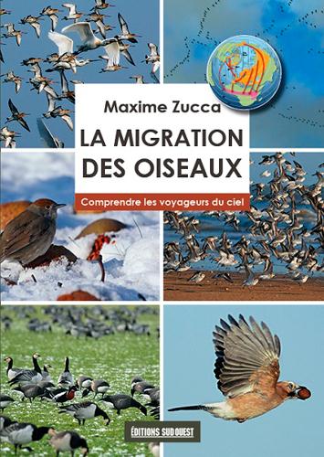 La migration des oiseaux, comprendre les voyageurs du ciel