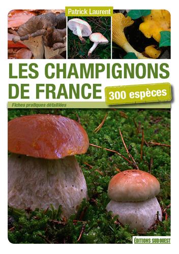 Champignons de France ; 300 espèces