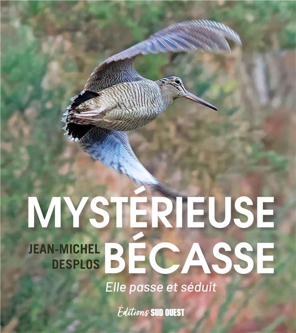 Mystérieuse bécasse : elle passe et séduit
