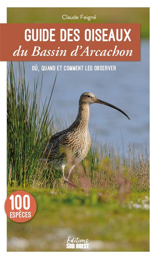 Guide des oiseaux du bassin d'Arcachon : où, quand et comment les observer - flash vidéo