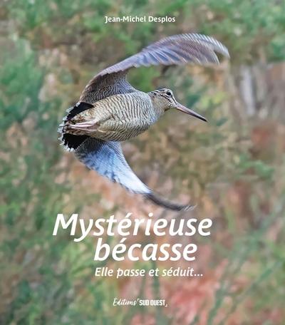 Mystérieuse bécasse : Elle passe et séduit...