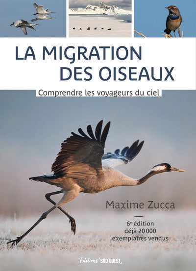 La migration des oiseaux : Comprendre les voyageurs du ciel (6e édition)