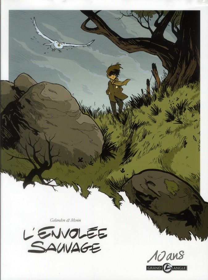 L'envolée sauvage Tome 1 : la dame blanche
