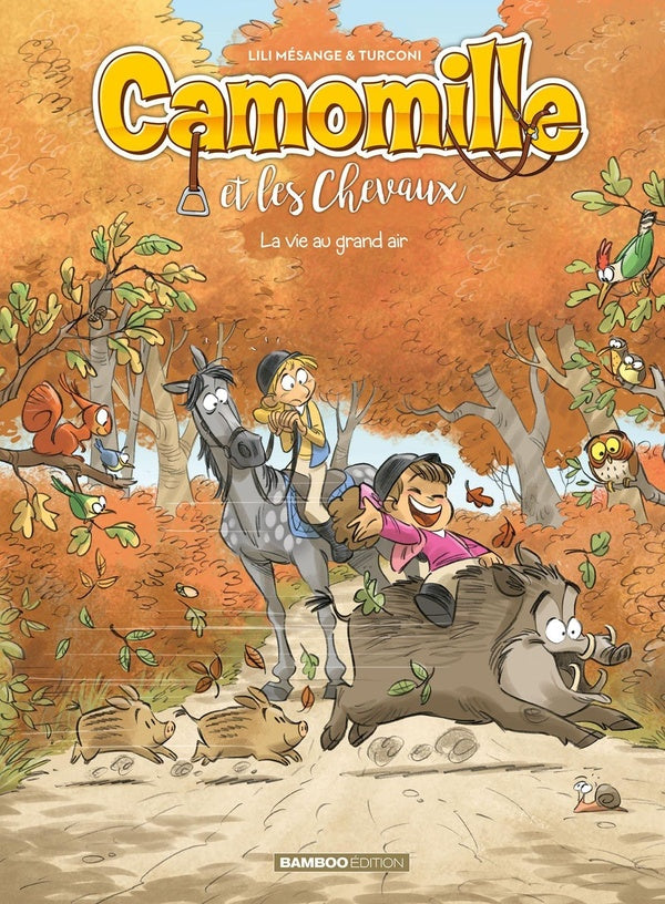Camomille et les chevaux Tome 8 : la vie au grand air