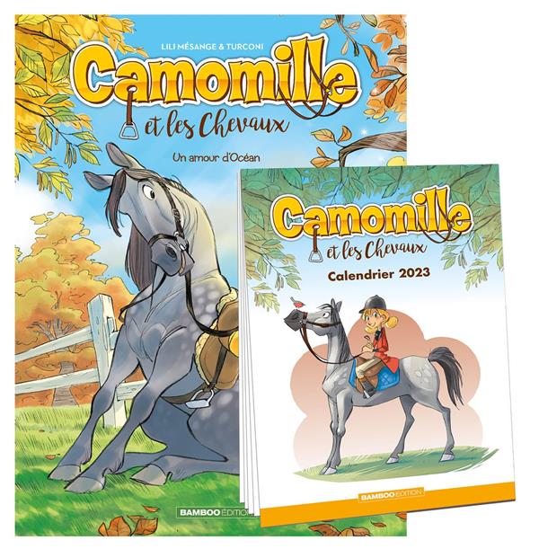 Camomille et les chevaux Tome 1 : un amour d'Océan