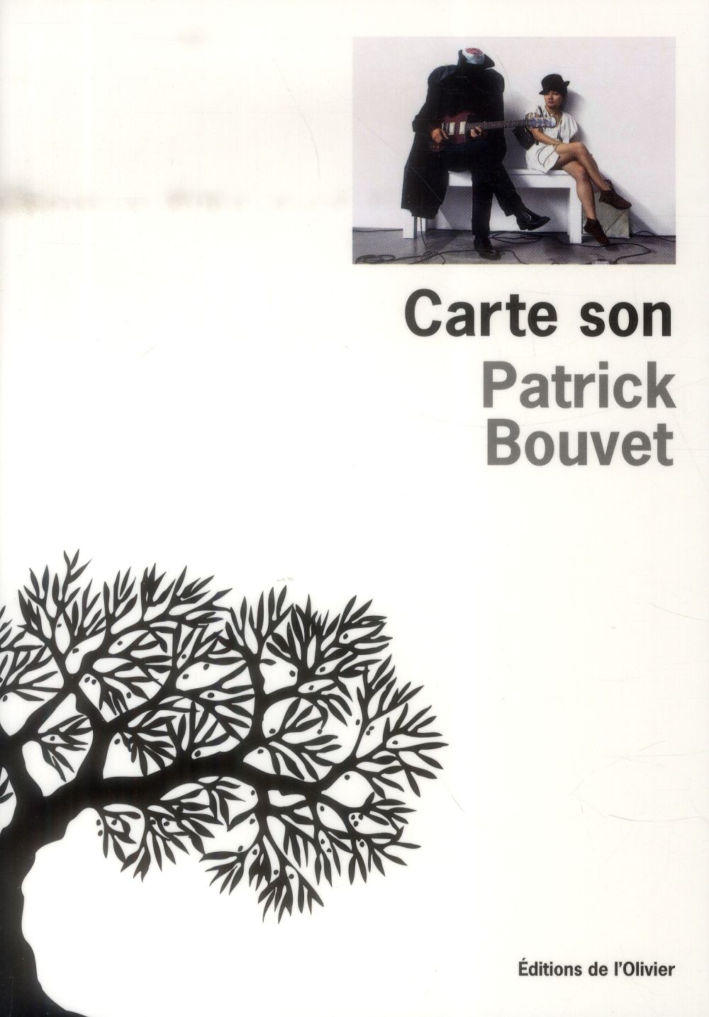 Carte son