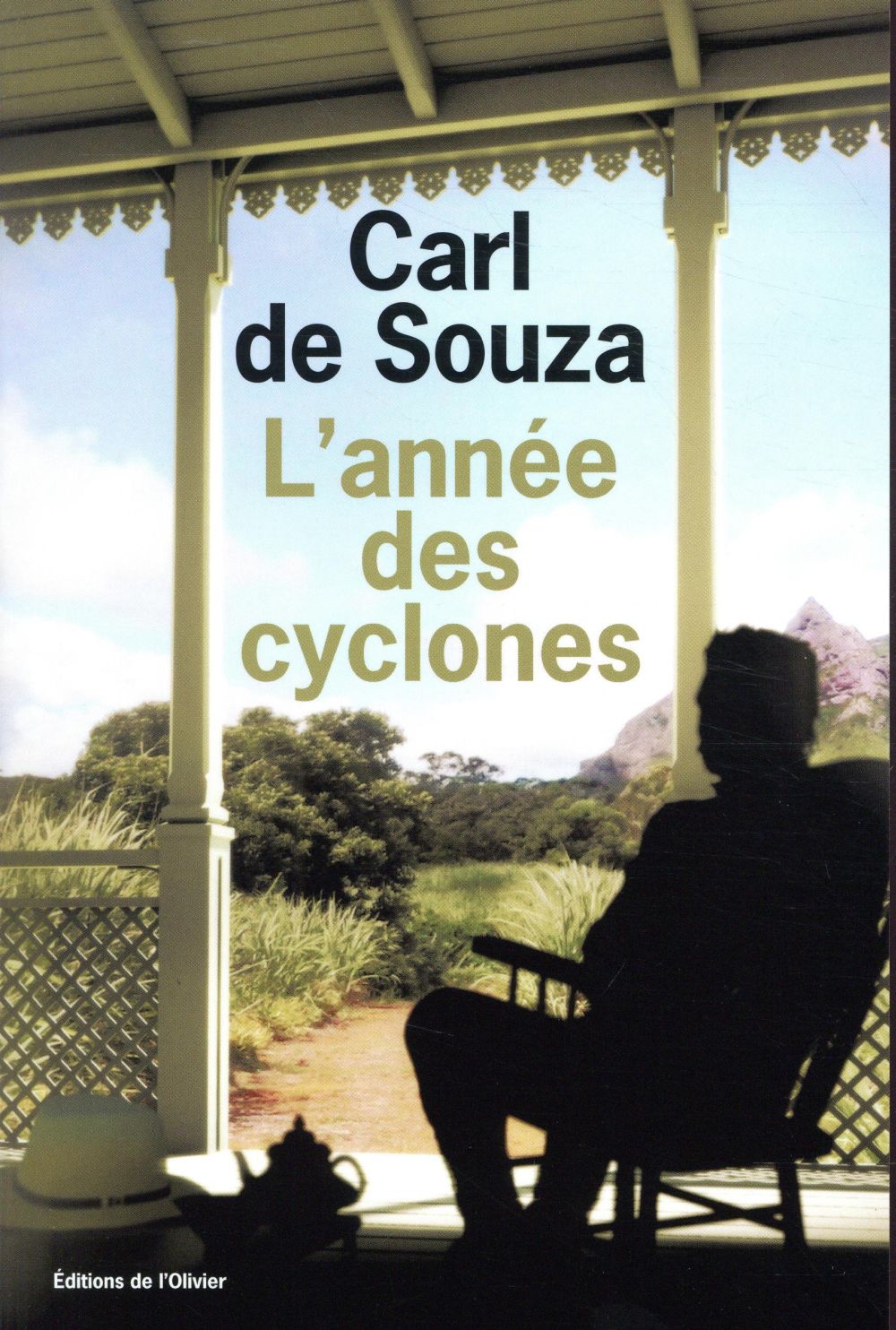 L'année des cyclones
