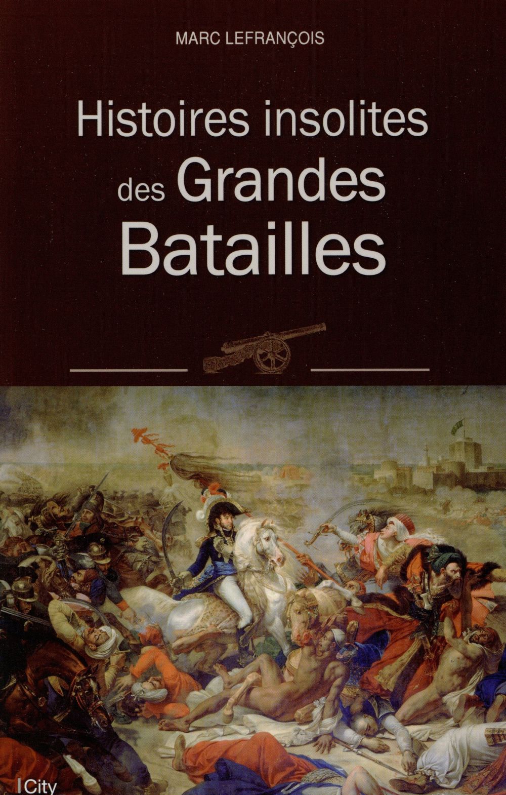 Histoires insolites des grandes batailles
