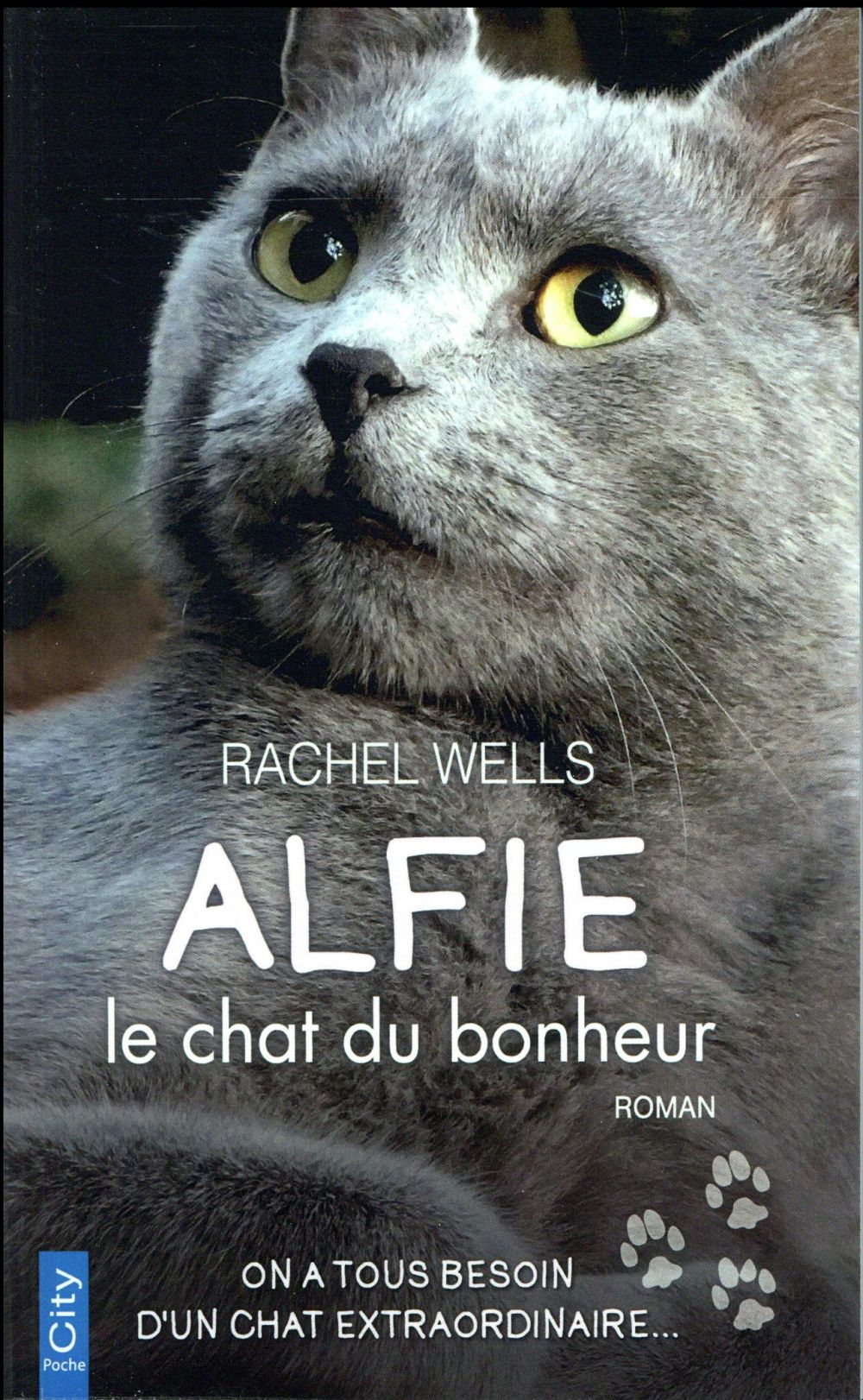 Alfie le chat du bonheur