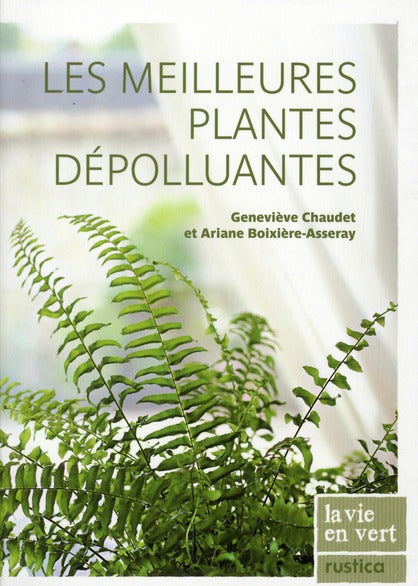 Les meilleures plantes dépolluantes - flash vidéo