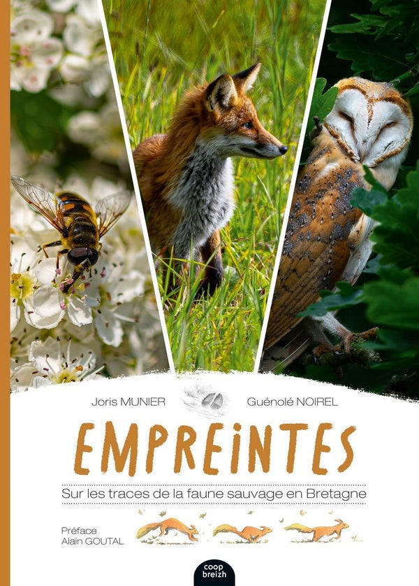 Empreintes : Sur les traces de la faune sauvage en Bretagne