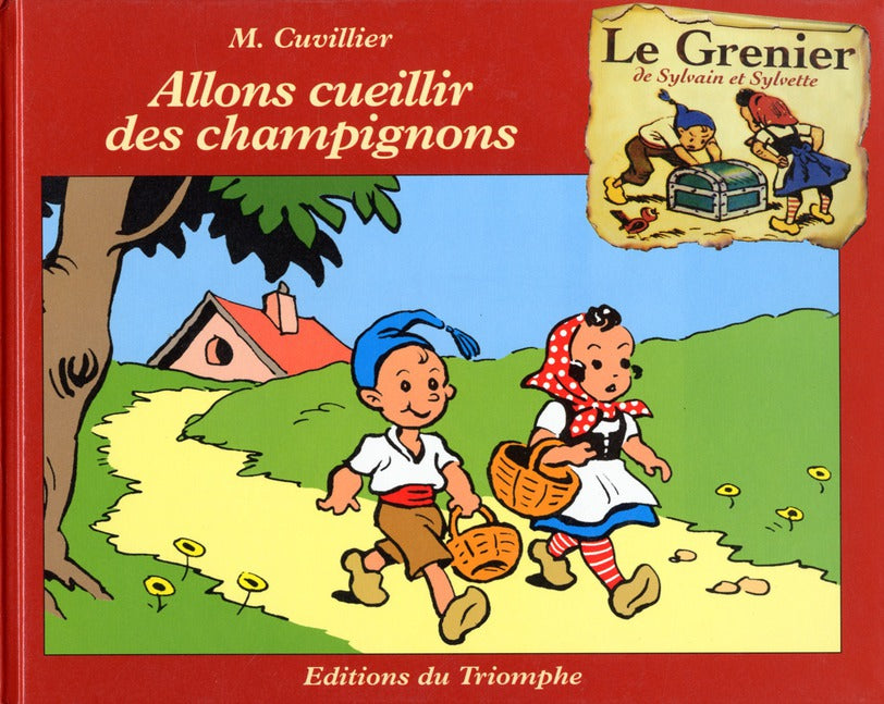 Le grenier de Sylvain et Sylvette Tome 1 : allons cueillir les champignons - flash vidéo