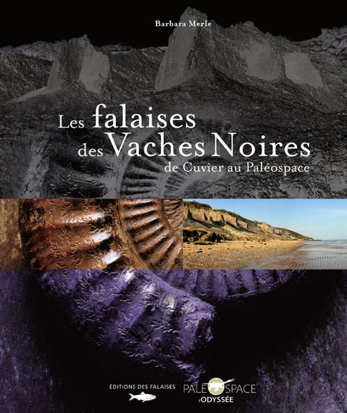 Les falaises des vaches noire