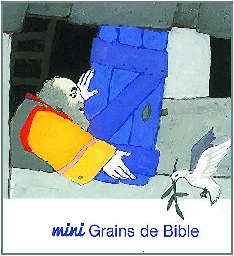 Mini grains de Bible - flash vidéo