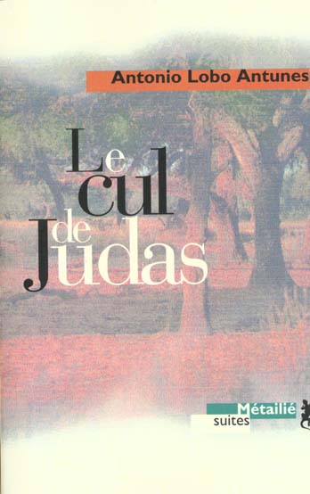 Le cul de Judas - flash vidéo