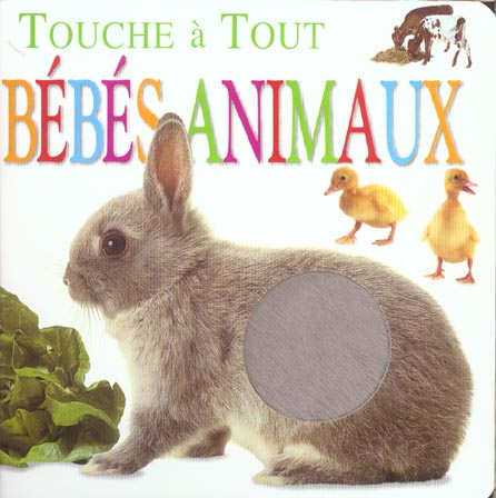 Bebes animaux