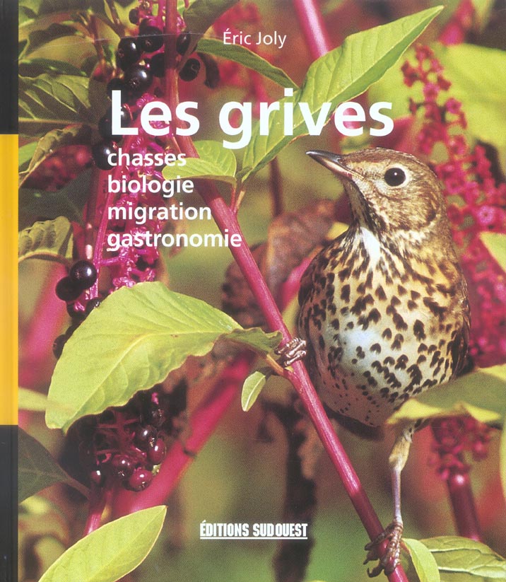 Les grives - flash vidéo