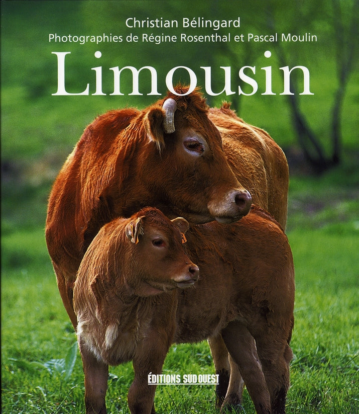 Limousin - flash vidéo
