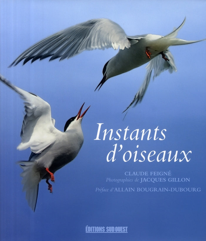 Instants d'oiseaux - flash vidéo