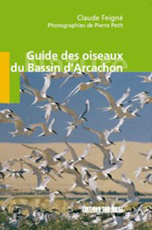 Guide des oiseaux du bassin d'Arcachon - flash vidéo