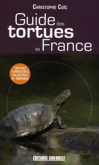 Guide des tortues de France - flash vidéo