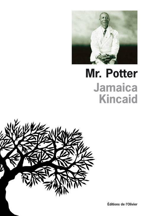 Mr. potter