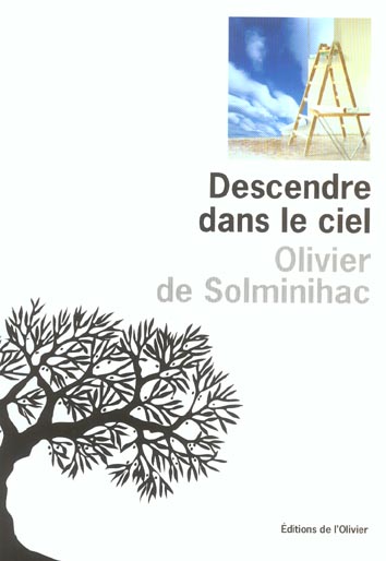Descendre dans le ciel - flash vidéo