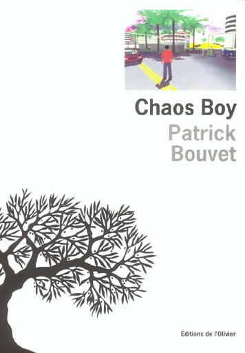 Chaos boy - flash vidéo