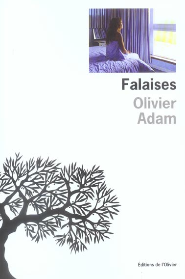 Falaises - flash vidéo