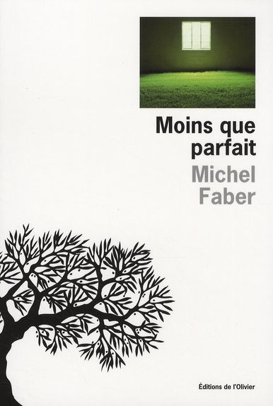 Moins que parfait - flash vidéo