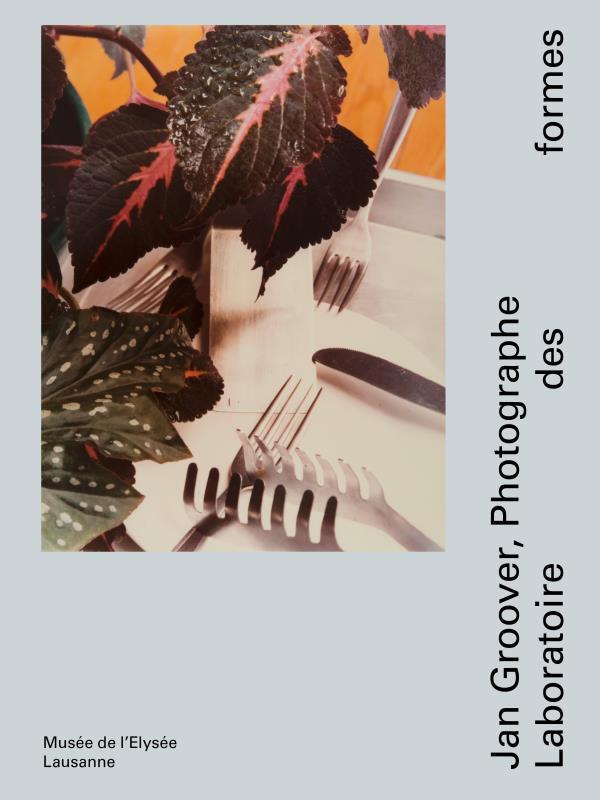 Laboratoire des formes ; Jan Groover photographe