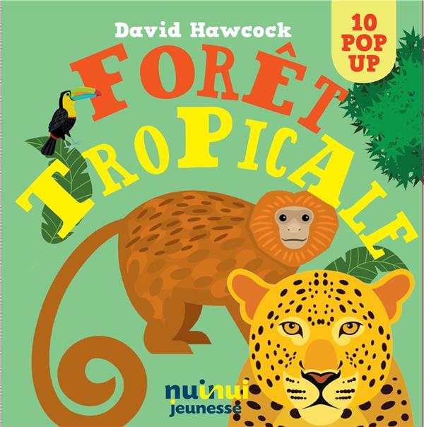 Saisissants pop-up : forêt tropicale - flash vidéo