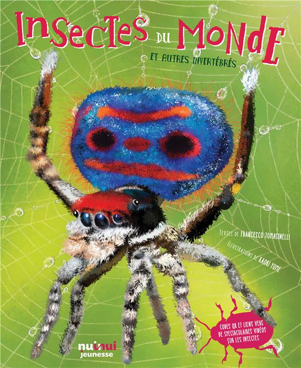 Insectes du monde et autres invertébrés - flash vidéo
