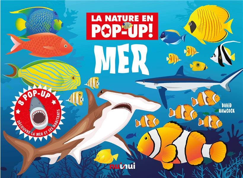 La nature en pop-up ! : mer - flash vidéo