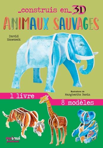 Construis en 3D : animaux sauvages - flash vidéo