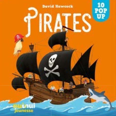 Saisissants pop-up : pirates - flash vidéo