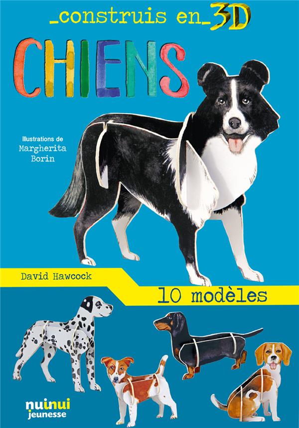 Construis en 3D : chien - flash vidéo
