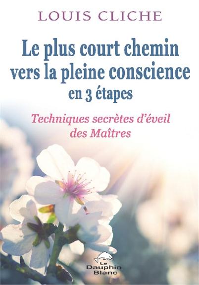 Le plus court chemin vers la pleine conscience en 3 étapes ; techniques secrètes d'éveil des maîtres