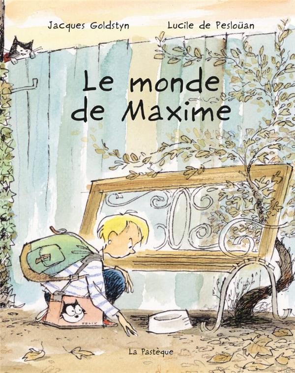 Le monde de Maxime - flash vidéo