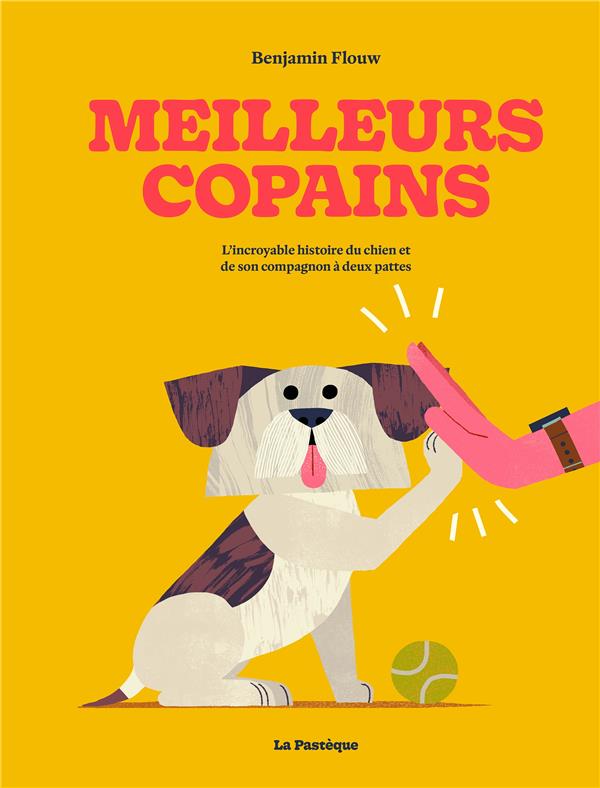 Meilleurs copains : l'incroyable histoire du chien et de son compagnon à deux pattes - flash vidéo