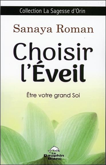 Choisir l'éveil ; être votre grand soi